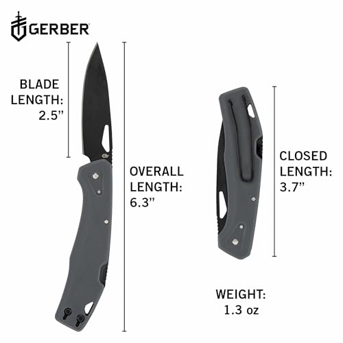 Gerber Gear LST - EDC Pocket Knife - Survival Tactical Tool for Travel, Camping & Outdoor Adventure - Lightweight & Compact Folding Knife - Stainless Steel Blade - Gray - color: Gray