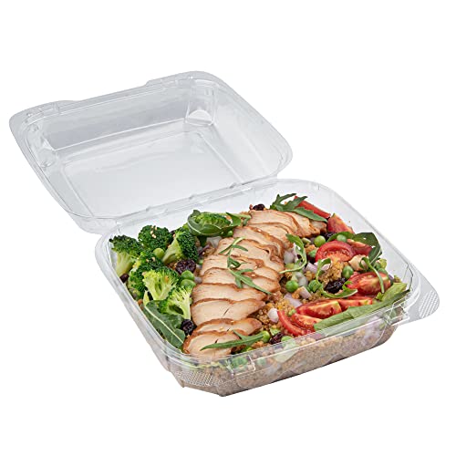 Restaurantware Thermo Tek 33.8 Ounce Clamshell Containers 100 Anti-Fog To Go Food Containers - Freezable Square Clear Plastic Food Packaging Containers Disposable - size: 39 oz