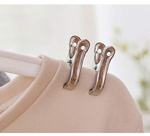 40 PCS Garden Clips, 2.1 inch Clothes pins,Heavy Duty Stainless Steel Greenhouse Clamps, Greenhouse Clips for Netting, Fix Plant Cover Shade Cloth Netting Tarp, Tight Grip Garment Clips - color: 2.1 Inch（40 Pack）, size: 2.1 inch