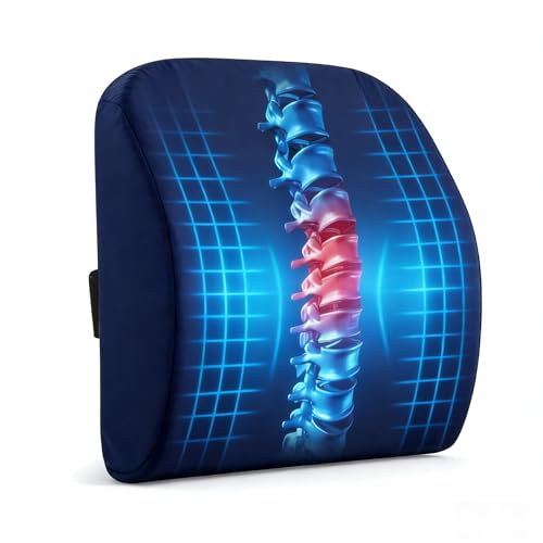 Lumbar Support Pillow for Office Chair, Memory Foam Back Support Pillow for Office Chair, Help Relieve Pain of Back and Lumbar, with Breathable Cover, Ergonomic and Comfortable for Long Hours Sitting