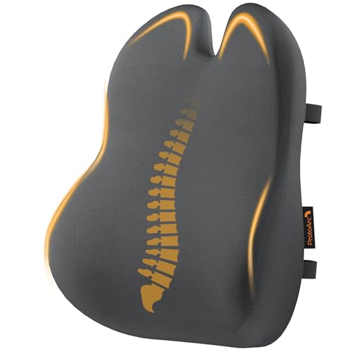 ProtoArc Lumbar Support Pillow for Office Chair, Memory Foam Back Support Pillow for Lower Back Fatigue Relief, Lumbar Pillow Desk Chair Back Cushion, Ergonomic Back Rest for Chair - Dark Gray - color: Dark Gray