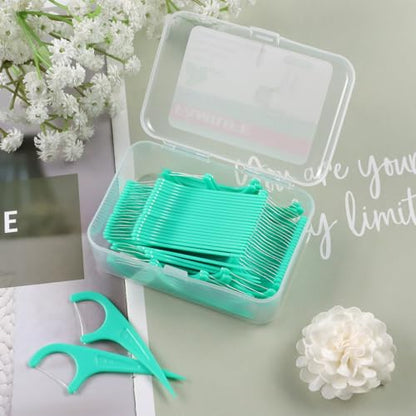 FAMILIFE Floss Picks, 240 Count Mint Dental Floss Cleaner, Tooth Picks Flossers with 4 Travel Handy Cases, Helps to Fight Tooth Decay and Keep Your Teeth Clean, Flossing Sticks for Family - color: Mint 240 Pcs