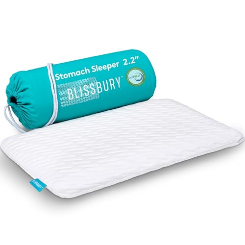BLISSBURY Thin Pillow for Stomach Sleeper – 2.2" Ultra Flat Memory Foam | Super Thin Low Loft Support for Belly Sleepers | Best Pillow for Neck Alignment and Front-Sleeping Comfort - color: White, size: 2.2"H (Queen)