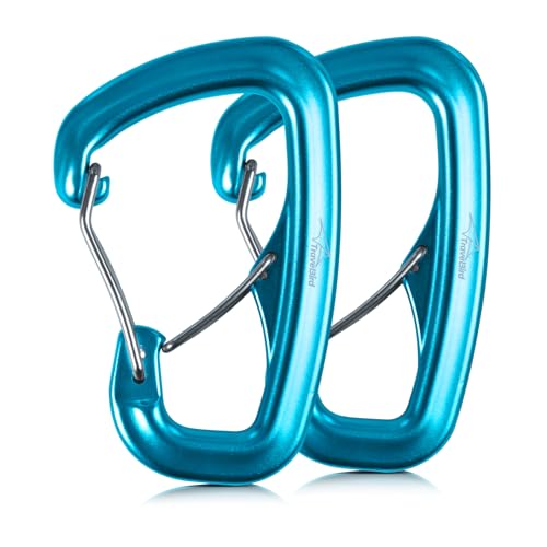 Heavy Duty Carabiner Clip Hook 8KN (1763 lbs), 2 PCS Ultra-Light Aluminum Caribeaners with Double Door D Ring Shape, for Hammock, Camping, Hiking, Backpacking, Dog Leash, Keychain Clip - style: 2#Lake Blue-2pc