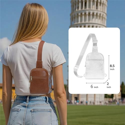 INICAT Anti Theft Crossbody Bags for Women Travel Small Sling Bag Fanny Packs Cross Body Purses Everyday - color: Pure Brown Antitheft, size: Large