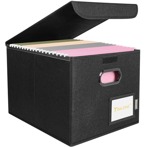 BALEINE File Organizer Box with Lid, Collapsible File Folder Organizer with Plastic Slide, Hanging File Folder Box for Office Document Storage (1 Pack, Black) - color: Black, size: 1 Pack