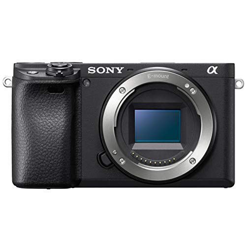 Sony a6400 4K Mirrorless Camera ILCE-6400/B Body Only | Official Sony USA Partner Model | Bundle with Travel Case Gadget Bag and Deco Gear Deluxe Accessories Kit Extra Battery Remote & Flash Bundle - style: Camera Only + Pro Kit
