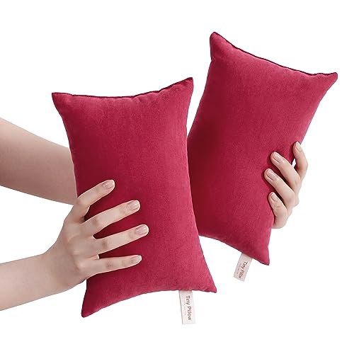 BEDSUM Tiny Pillows, 11x7 Mini Microfiber Small Pillow for Neck and Lumbar Support - Machine Washable Cushion for Office Desk, Backpacking and Travel - Pillow Inserts, 2 Pack, Red - color: Red, size: 11x7 inches