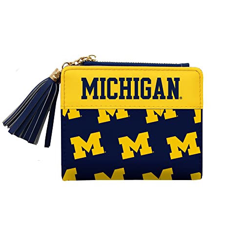 Littlearth NCAA Alabama Crimson Tide Mini Organizer, Team Color, One Size - color: Michigan Wolverines