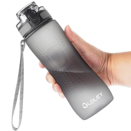 OLDLEY 25 oz Water Bottle, Motivational Water Bottle with Time Marker, Sports Water Bottle With Strap, Leakproof & BPA Free Large Water Bottles for School, Gym, Travel, Outdoor, Tritan,Gray - color: Gray, size: 25 Ounces