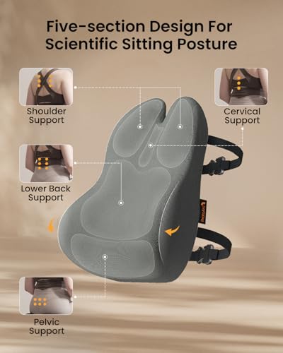 ProtoArc Lumbar Support Pillow for Office Chair, Memory Foam Back Support Pillow for Lower Back Fatigue Relief, Lumbar Cushion Desk Chair Back Cushion, Ergonomic Back Rest for Chair, Car - Gray - color: Gray