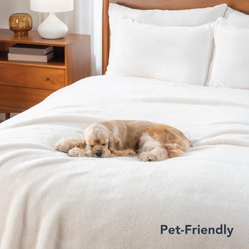 Berkshire Blanket Classic Extra-Fluffy™ Plush Blanket Queen Size, Soft Fuzzy Fluffy Long Hair Blanket for Couch Sofa Bed, Cream, 90x90 Inches - color: Cream, size: Full/Queen
