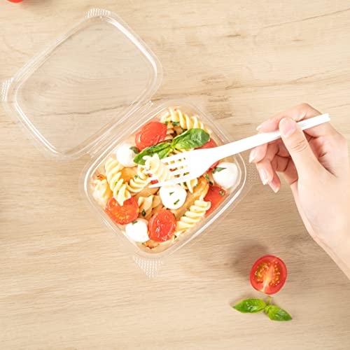 Restaurantware Thermo Tek 16 Ounce Deli Food Containers 100 Anti-Fog Hinged Lid Containers - Freezable Rectangle Clear Plastic To Go Food Containers Disposable - size: 16 oz