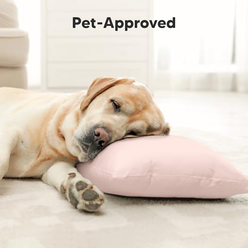 KeaBabies Organic Toddler Pillow with Pillowcase, Jumbo 14X20 - Soft Cotton Toddler Pillows for Sleeping - Machine Washable - Perfect for Travel, Toddler Bed Set (Mist Pink) - color: Mist Pink