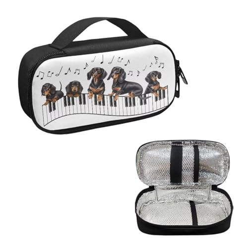 Dachshund Music Note Pattern Insulin Cooler Travel Case Portable Diabetic Care Organizers, Insulin Storage Bag for Diabetic Supplies Organizer for Trip and Daily Use - color: Dachshund Music Note