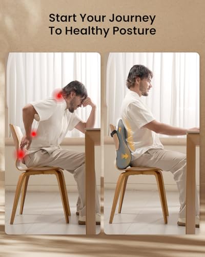 ProtoArc Lumbar Support Pillow for Office Chair, Memory Foam Back Support Pillow for Lower Back Fatigue Relief, Lumbar Cushion Desk Chair Back Cushion, Ergonomic Back Rest for Chair, Car - Gray - color: Gray