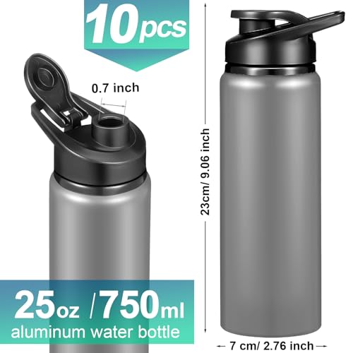 Chengu 10 Pcs 25oz Reusable Aluminum Water Bottle Bulk Lightweight Outdoor Sports Water Bottles Easy Carry Leak Proof for Travel Gym Camping Hiking Fishing, Snap Lid (Gray) - style: Gray