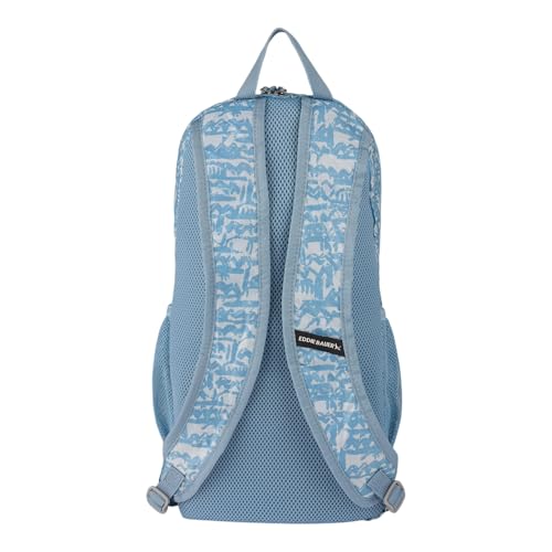 Eddie Bauer Stowaway Packable Backpack | Travel | Outdoor | Lightweight | Foldable | Durable | Ripstop Polyester | 20L - Blue Fog - color: Blue Fog, size: 20L