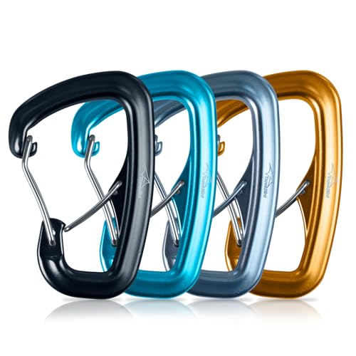 Heavy Duty Carabiner Clip Hook 8KN (1763 lbs), 2 PCS Ultra-Light Aluminum Caribeaners with Double Door D Ring Shape, for Hammock, Camping, Hiking, Backpacking, Dog Leash, Keychain Clip - style: 2#Rainbow-4pc
