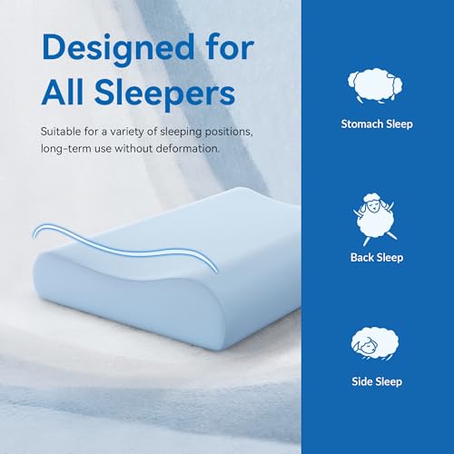 AM AEROMAX Firm Contour Memory Foam Pillow, Cervical Pillow for Neck Pain Relief, Neck Orthopedic Sleeping Pillows for Side, Back and Stomach Sleepers. - color: Blue, size: Standard Size