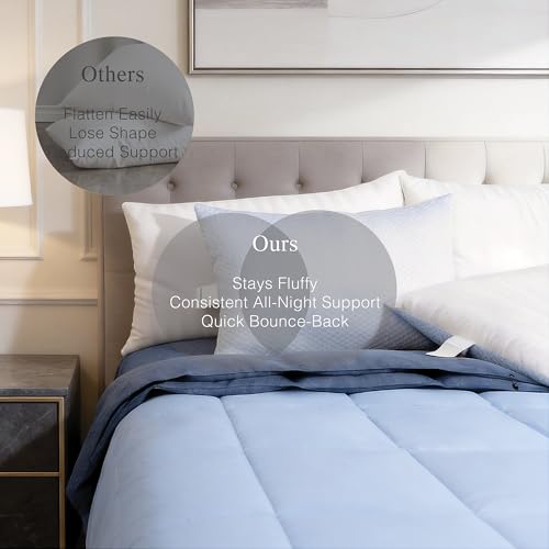 Blue Ridge Home Fashions Luxury Hotel Quality Cooling Pillows Queen Size Set of 2, Soft Medium 500 Thread Count Damask Stripe Embroidered 100% Cotton Cover, Down Alternative - size: Queen Size Set of 2