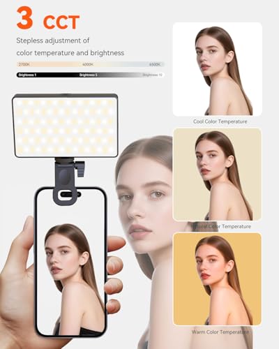 Selfie Light Ring Light for Phone: 90 LED Rechargeable iPhone Fill Lights, Ring Light for Camera Picture, Makeup Photo, Video Conferences, Laptop Use, Zoom Meetings, TikTok, Vlog Photography - color: BLACK