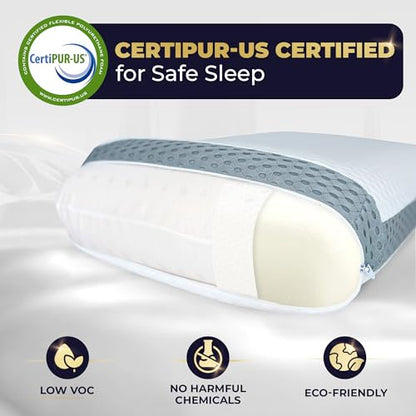Royal Therapy Memory Foam Pillow, King Neck Pain Relief, for Neck and Shoulder Pain, Neck, Side Sleeper, Cervical Pillow, - size: Smart Value King - 31 x 14 x 5.1"