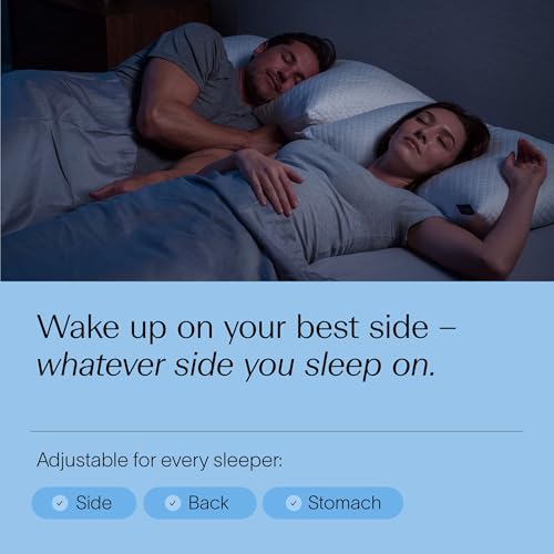 DreamyBlue Signature Pillow w/Adjustable Loft • Shredded Memory Foam Fill • Neutral Alignment for Side, Back, and Stomach Sleepers • Washable Bamboo Rayon Cover • CertiPUR-US Certified Foam (King) - size: King (Pack of 1)