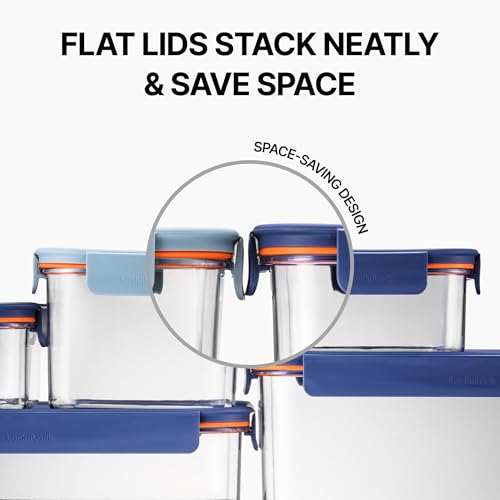 LocknLock Tritan Plastic Bisfree Modular Plus Food Storage Container Set, Lunch, Meal Prep, Stackable, BPA-Free, Leakproof, Freezer-Safe, 4 Pieces, 2 Boxes and 2 Lids, Navy, 2.1L - color: Navy, size: 4 set (2 containers & 2 Lids), 2100 ml