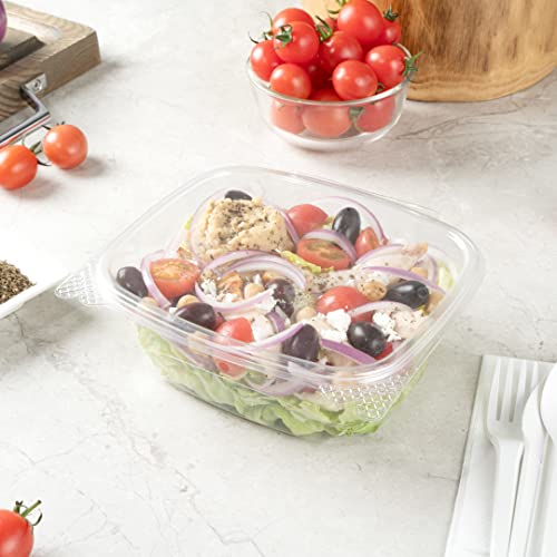 Restaurantware Thermo Tek 32 Ounce Deli Food Containers 100 Anti-Fog Hinged Lid Containers - Freezable Rectangle Clear Plastic To Go Food Containers Disposable - size: 32 oz