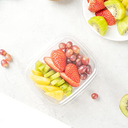 Restaurantware-Thermo Tek 8 Ounce Clamshell Containers, 100 Anti-Fog To Go Food Containers - Freezable, Rectangle, Clear Plastic Food Packaging Containers, Disposable - size: 8 oz