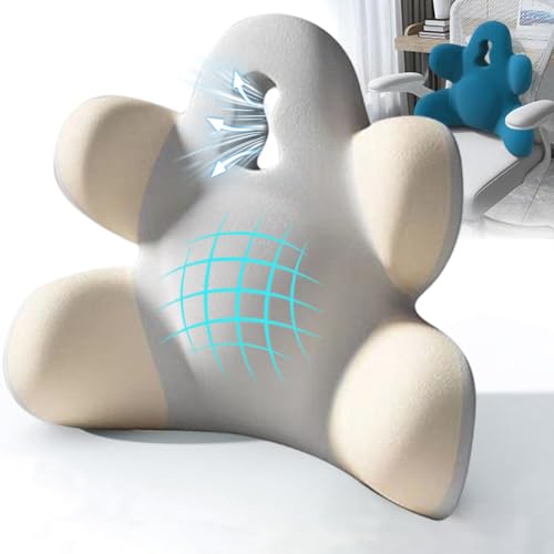 Lumbar Support Pillow for Office Chair, Back Pillow Lumbar Support for Car, Chair, Sofa - Improve Lower Back Pain Relief & Sitting Posture, Memory Foam Back Cushion for Long Sitting (B-Beige grey) - color: B-beige Grey