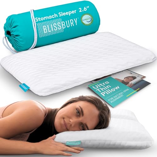 BLISSBURY Stomach Sleeping Pillow – Ultra Thin 2.6" Memory Foam for Neck and Cervical Support | Flat Pillow for Belly Sleeper | Low Loft Design for Comfort and Better Sleep - color: White, size: 2.6"H (Queen)
