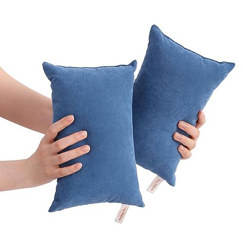 BEDSUM Tiny Pillows, 11x7 Mini Microfiber Small Pillow for Neck and Lumbar Support - Machine Washable Cushion for Office Desk, Backpacking and Travel - Pillow Inserts, 2 Pack, Denim Blue - color: Denim Blue, size: 11x7 inches