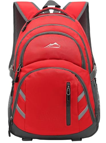 ProEtrade Backpack Bookbag for College Laptop Travel, Fit Laptop Up to 15.6 inch with USB Charging Port Multi Compartment Anti theft, Gift for Women Men (Red) - color: Red, size: 15.6 Inch