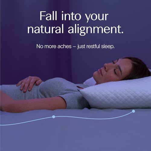 DreamyBlue Signature Pillow w/Adjustable Loft • Shredded Memory Foam Fill • Neutral Alignment for Side, Back, and Stomach Sleepers • Washable Bamboo Rayon Cover • CertiPUR-US Certified Foam (King) - size: King (Pack of 1)