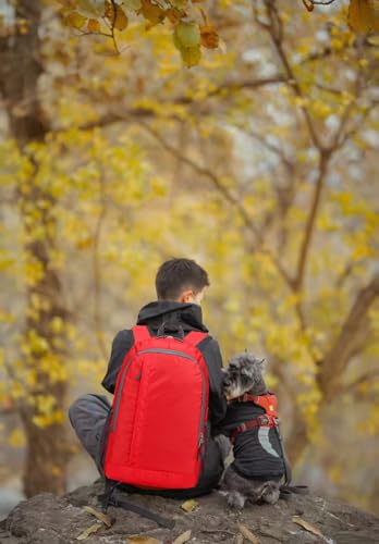 Ultra Lightweight-Packable-Hiking-Backpack Foldable Travel Camping Daypack Casual Outdoor Water-resistant 25L Bags (Red) - color: Red