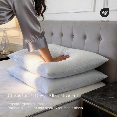 Blue Ridge Home Fashions Luxury Hotel Quality Cooling Pillows Queen Size Set of 2, Soft Medium 500 Thread Count Damask Stripe Embroidered 100% Cotton Cover, Down Alternative - size: Queen Size Set of 2