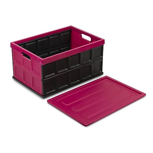 Glad Collapsible Storage Bin with Lid - 48L Foldable Plastic Box for Garage, Car Trunk, and Organization - Stackable Lidded Container with Handles, Purple - color: Purple