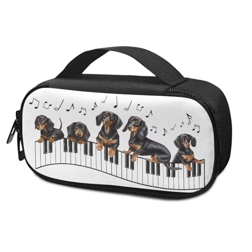 Dachshund Music Note Pattern Insulin Cooler Travel Case Portable Diabetic Care Organizers, Insulin Storage Bag for Diabetic Supplies Organizer for Trip and Daily Use - color: Dachshund Music Note