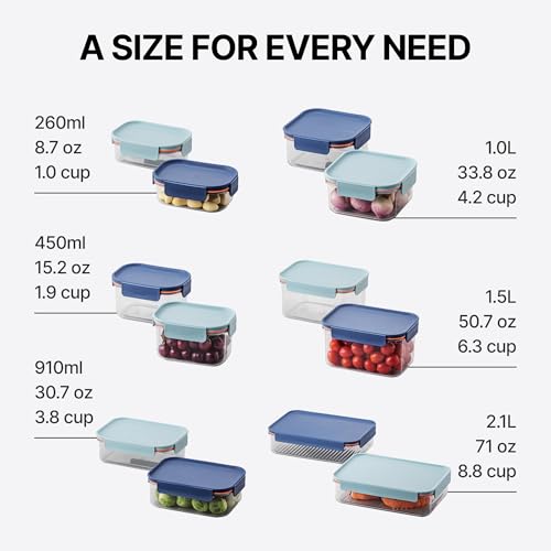 LocknLock Tritan Plastic Bisfree Modular Plus Food Storage Container Set, 10-Piece Set, BPA-Free, Modular Stacking, Tritan, Navy - color: Navy, size: 10 set (5 containers & 5 Lids)