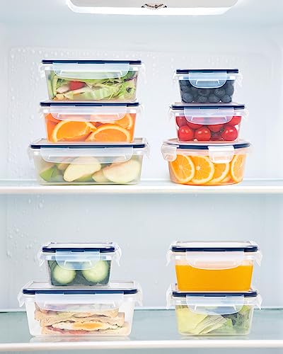 FOOYOO 32 Piece Food Storage Container with Lids (16 Containers + 16 Lids) - Plastic Food Containers with Lid, Airtight Leak Proof Snap Lock, BPA Free Storage Containers - color: Transparent - 32 Pcs