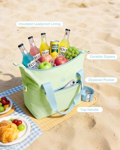 GLORIEROO Pastel Lunch Box Women | Insulated Soft Waterproof Leakproof Lunch Bag Cooler | Adjustable Strap | BPA-Free - color: Mint Breeze