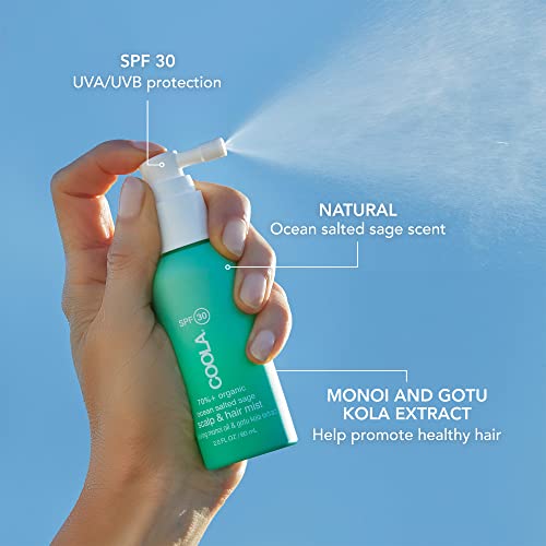 COOLA Organic Face Sunscreen SPF 50 Sunblock Lotion, Dermatologist Tested Skin Care for Daily Protection, Vegan and Gluten Free, Fragrance Free - size: Sunscreen Beach Bundle Set