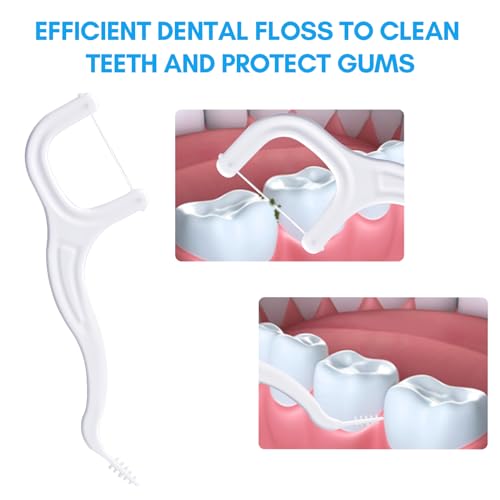 FAMILIFE Floss Picks, 200 Count Unflavored Dental Floss Cleaner, Tooth Picks Flossers with 4 Travel Handy Cases, Helps to Fight Tooth Decay and Keep Your Teeth Clean, Sticks for Family - color: Unflavored 200 Pcs