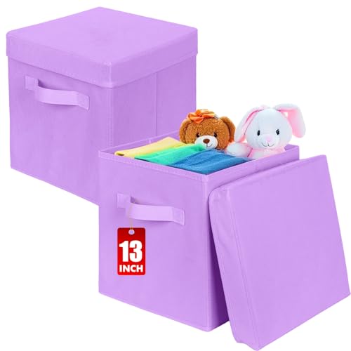 ShellKingdom Storage Bins, Foldable Fabric Storage Cubes with Lid, Clothes Storage Organizer Drawer For Closet Toys Storage, 13 X 13 X 13 INCH, 2 Pack (Lavender) - color: Lavender, size: 13 inch (2 Pack)