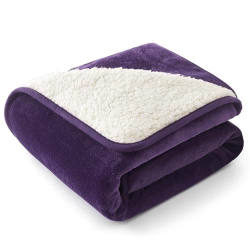 Bedsure Waterproof Dog Blankets for Small Dogs - Small Cat Blanket Washable for Couch Protection, Sherpa Fleece Puppy Blanket, Soft Plush Reversible Throw Furniture Protector, 25"X35", Eggplant - color: Eggplant, size: S(25x35")