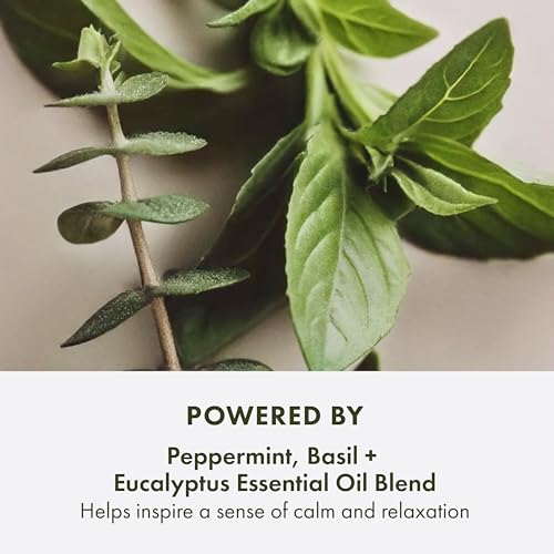 Origins Peace of Mind On-the-Spot Relief | Relaxing Aromatherapy Experience With Eucalyptus, Peppermint & Basil Essential Oils | Wellness Gift - style: Peace of Mind On-the-Spot Relief
