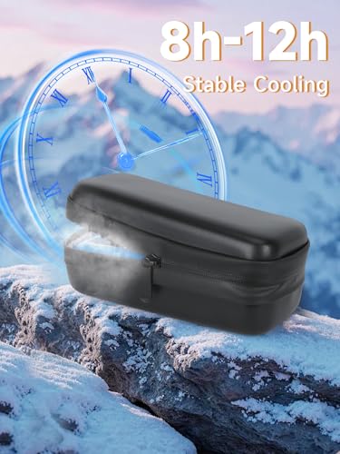 YOUSHARES Insulin Vial Cooler Travel Case - TSA Approved Diabetes Carrying Bag Keep Medicine Cool, Peptide Medication Organizer Small Bottle Protector, Refrigerated Pack with Protective Ice Brick - color: 01 Black
