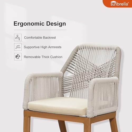 PURPLE LEAF 9 Pieces Patio Dining Set Aluminum Rectangular Table and Rattan Arm Chairs with Cushions for Kitchen Porch Garden Modern Outdoor Furniture Sets - color: Deep Teak-high Armrest, size: 9 PCS, style: Rectangular